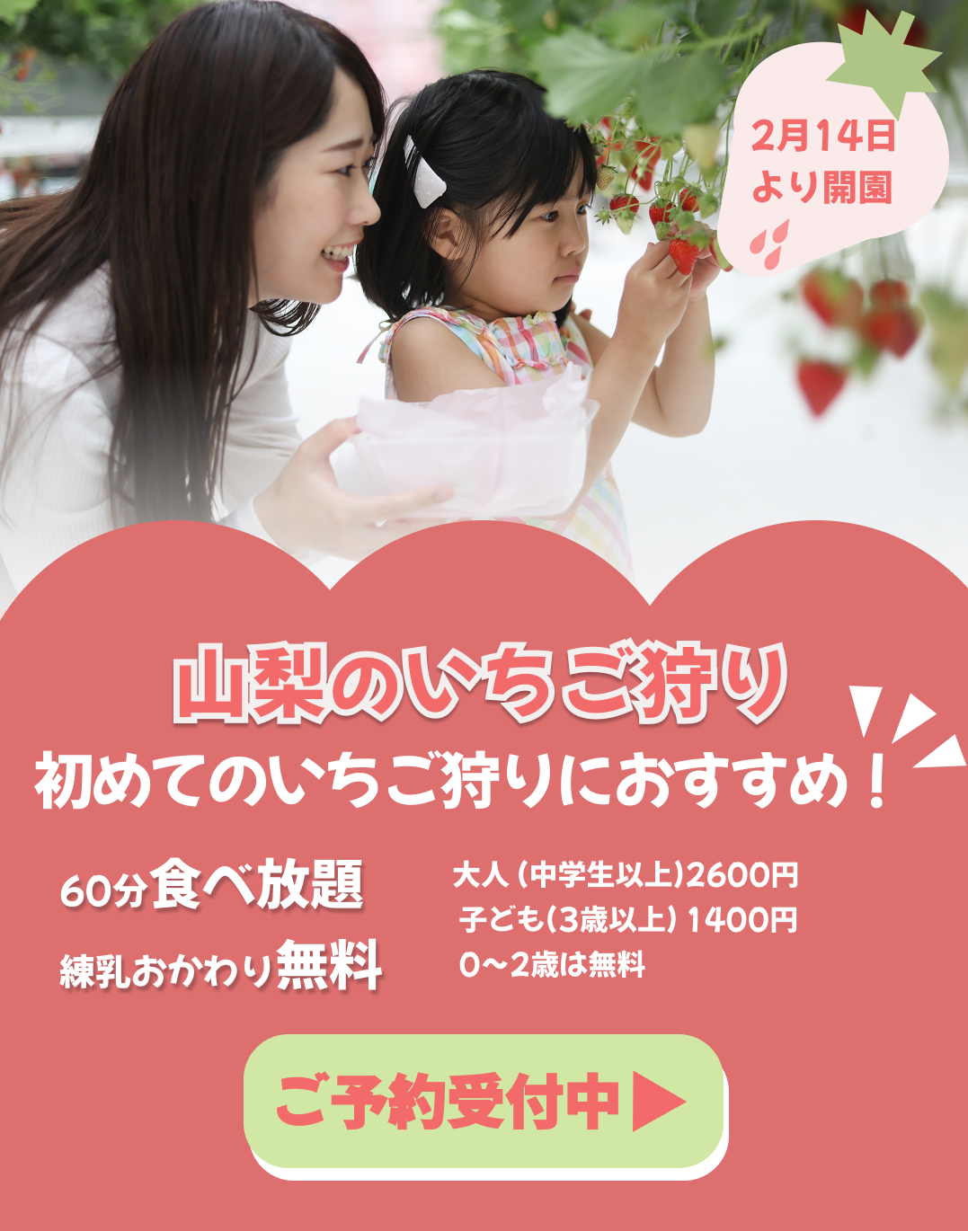 LP(架空)いちごがりのLP広告ファーストビュー